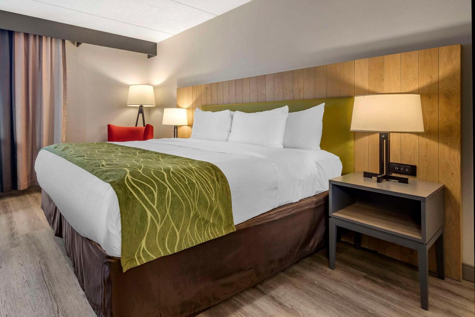 Comfort Inn & Suites Liverpool - Syracuse North Экстерьер фото